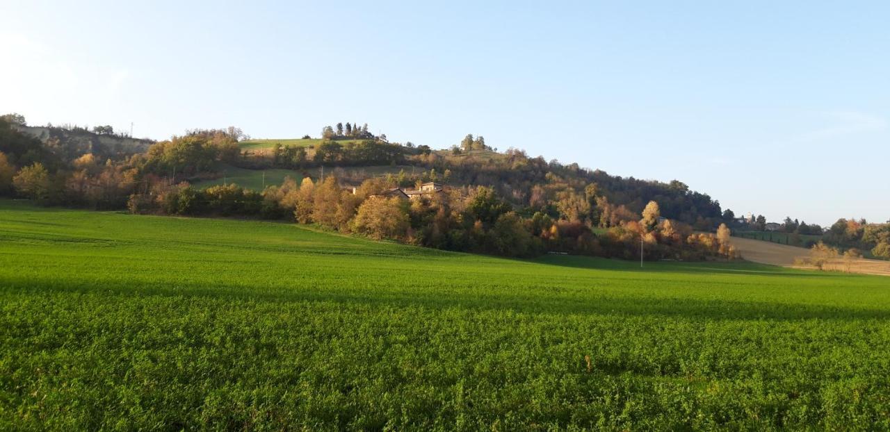 Agriturismo Ca' Bertu' Zappolino Eksteriør billede